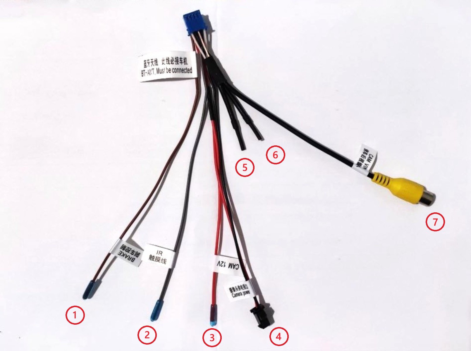 10pin_rear_cam.jpg