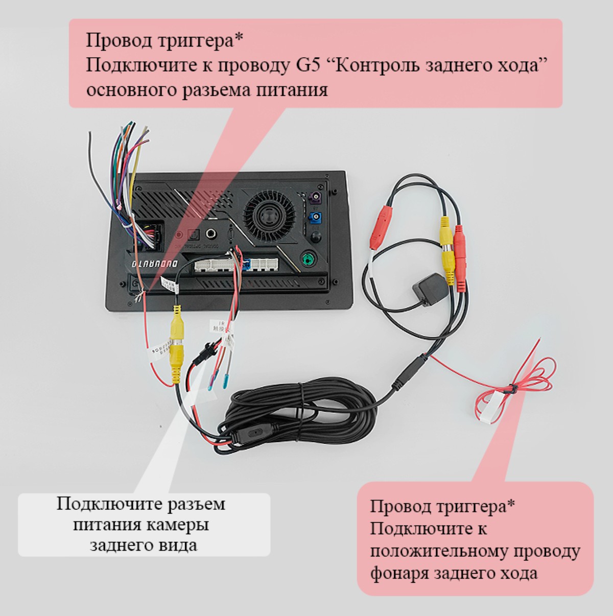 dudu_rearcam.jpg
