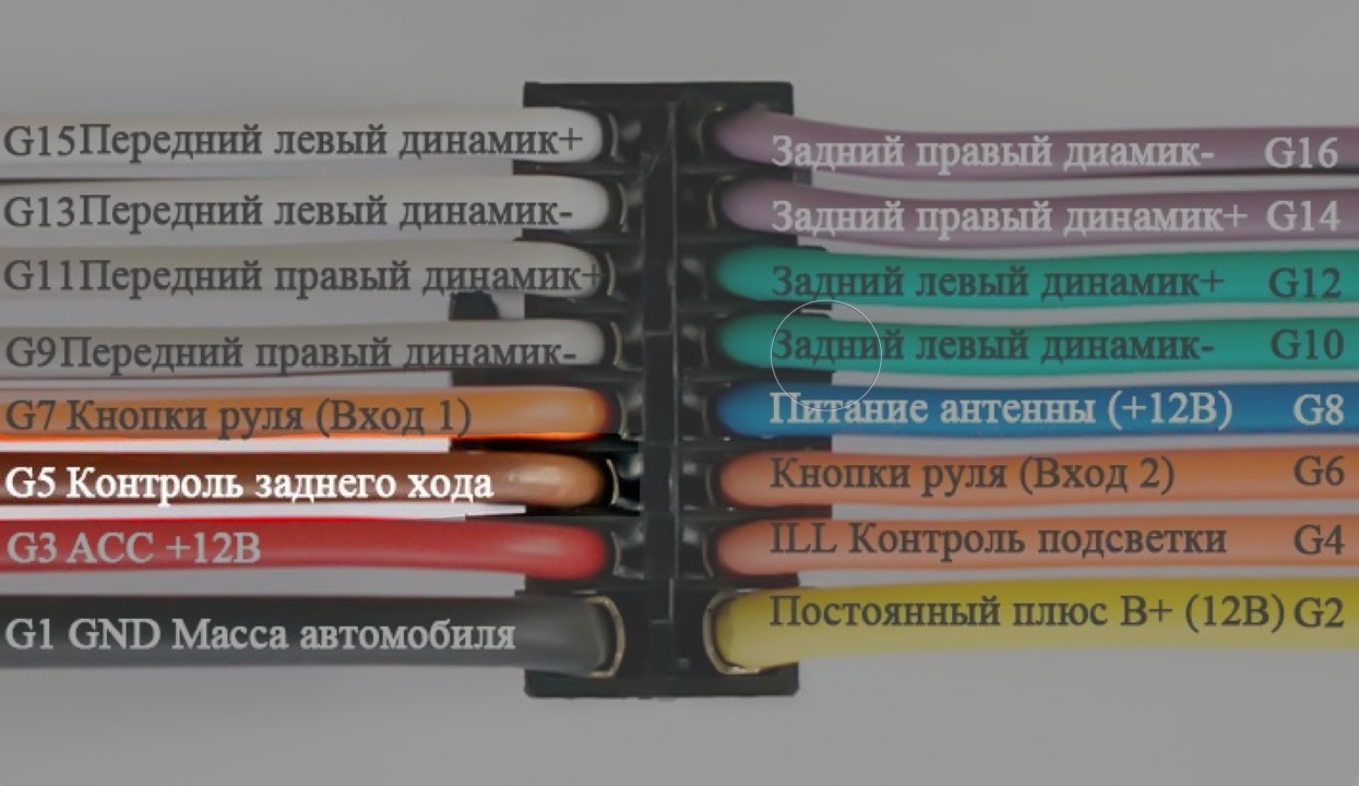 g5.jpg